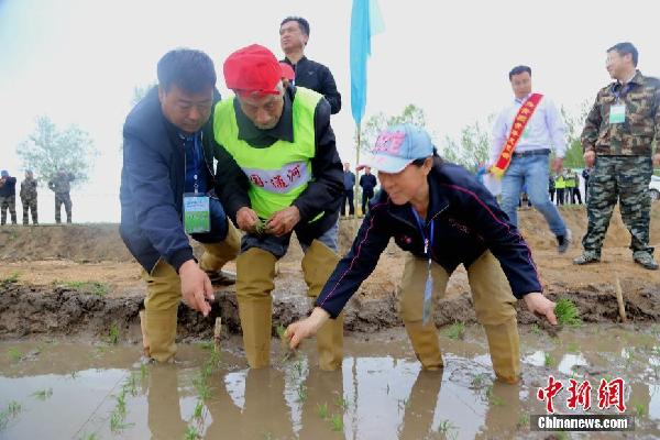 农民伯伯乡下妹_2017年福建农民纯收入(3)